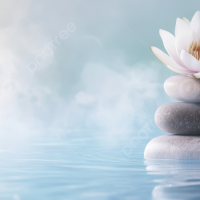 本日お休みです🙏