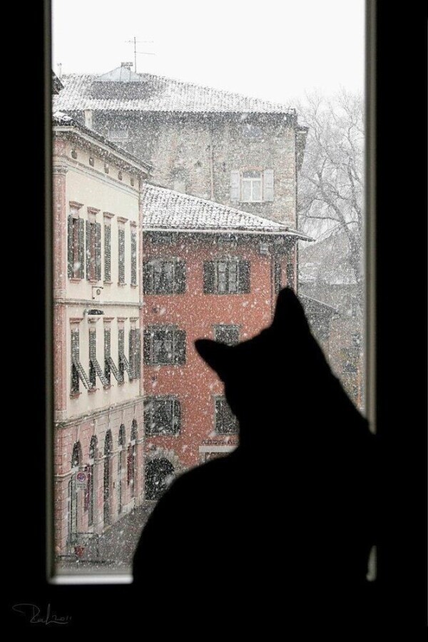 ありがとうございました❄