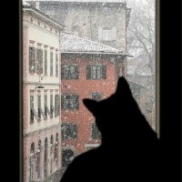 ありがとうございました❄