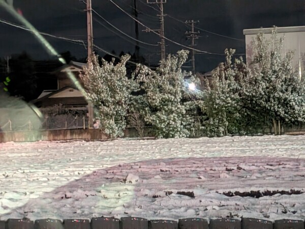 積もってる！！⛄️