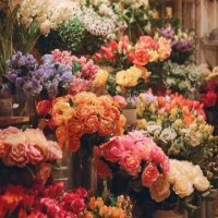 久々の出勤です🌼