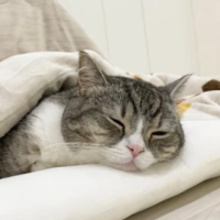 本日お昼から出勤です🐾