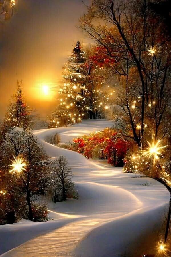 お疲れ様でした🌃