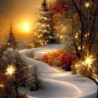 お疲れ様でした🌃