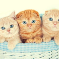 ✨✨出勤しました✨✨