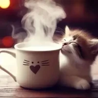 ✨✨今日もありがとうございました✨✨