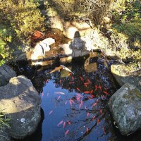 次回は7日㈬と8日㈭ 出勤です