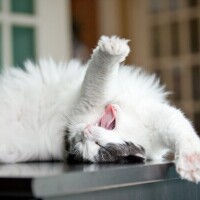 ❄️❄️出勤しました❄️❄️