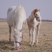 ☃️おはようございます☃️