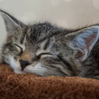 本日もラストまで出勤です🐾