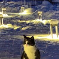 ありがとうございました🌟 ̖́-