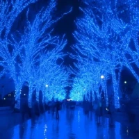 出勤しました😃