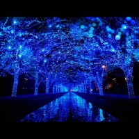 ✨✨本日もありがとうございました✨✨