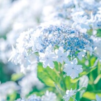 メンテしなくては...