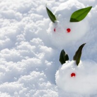 ✨✨出勤しました✨✨