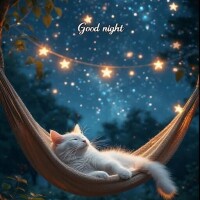 おやすみなさい😴