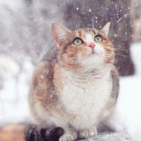 ✨✨おはようございます✨✨