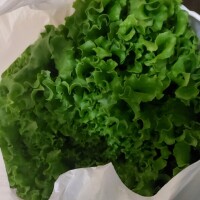 ロメインだっけ( ˙꒳​˙  )???