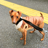 毛がないと寒いよね🥶