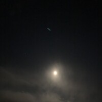 本日出勤します