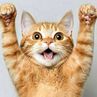 次回 出勤は18日㈰