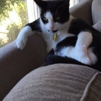 お休み1日目🍃