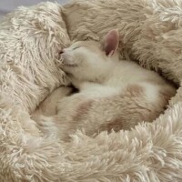 ✨本日もありがとうございました✨