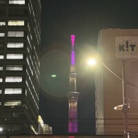 どっちが好きか