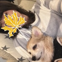 規則正しく美しく✨