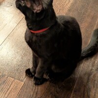 出勤しました☀