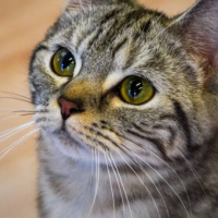 お部屋到着です🐾