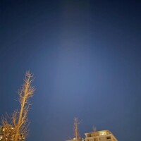 出勤しています🎶