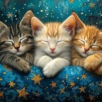 ✨今日も1日お疲れ様です✨