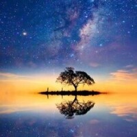 ✨おはようございます✨