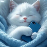 おやすみなさい😴