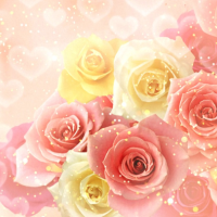 明日 夕方 出勤です