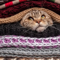 本日夕方から出勤です🐾