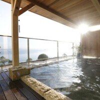 ✨おはようございます✨