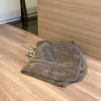 ポカポカ天気☀️