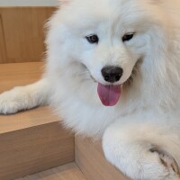 出勤しました☀