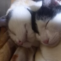 おやすみなさい😴