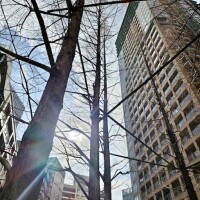 本日お休みです( ᴗˬᴗ)