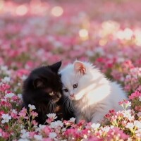 おはようございます☀️