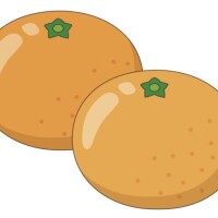 おやすみなさい