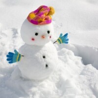 本日お休みです！