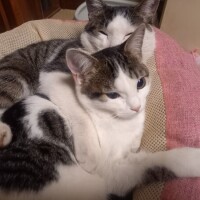 お休み2日目🎵