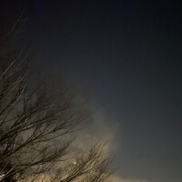 出勤しました☝️