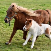 ✨おはようございます✨