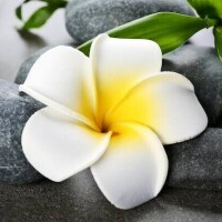 (木)夕方から出勤です🤗