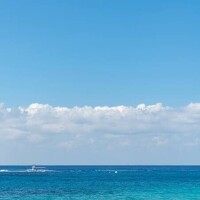 おはよーございます🐧☀️